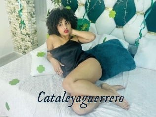 Cataleyaguerrero