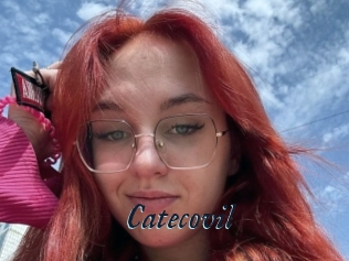 Catecovil