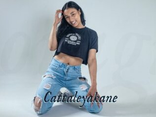 Cattaleyakane