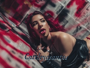 Cattleyasantos