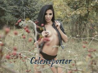 Celesteporter