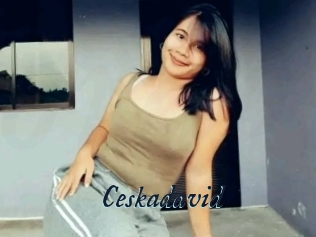 Ceskadavid