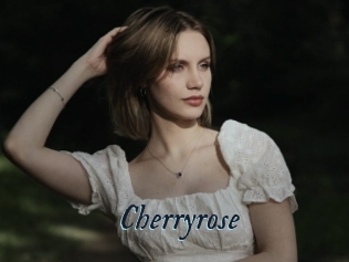 Cherryrose