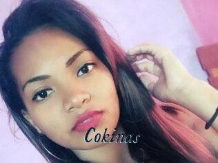 Cokinas