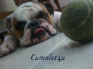 Cumalot4u
