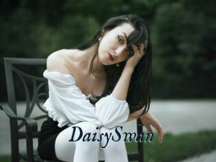 DaisySwan