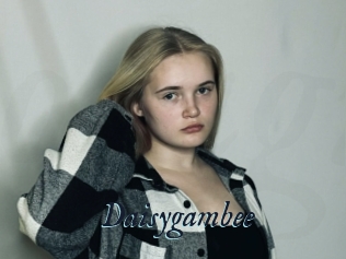 Daisygambee