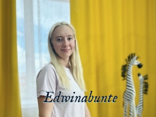 Edwinabunte