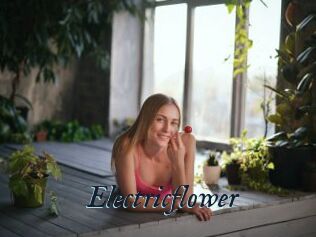 Electricflower
