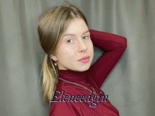 Eleneedgin