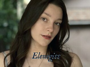 Elenegitt