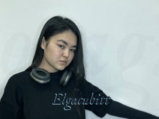 Elgacubitt
