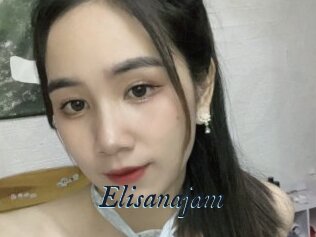 Elisanajam