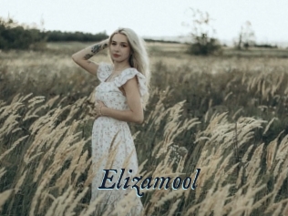 Elizamool