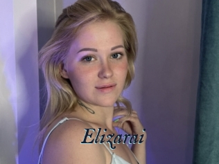 Elizarai