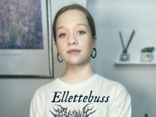 Ellettebuss