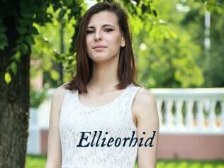Ellieorhid