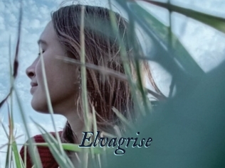 Elvagrise