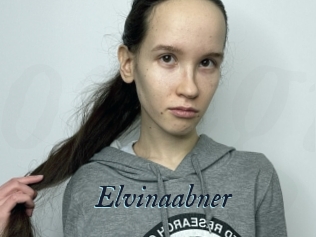 Elvinaabner