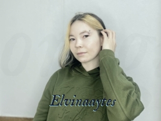 Elvinaaytes