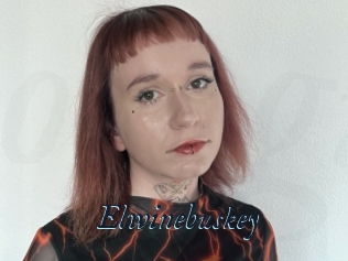 Elwinebuskey