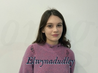 Elwynadudley