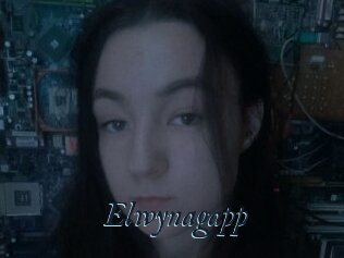 Elwynagapp