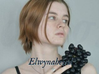 Elwynahessel