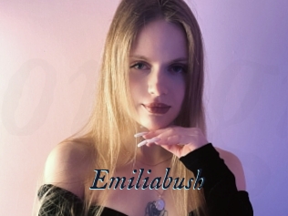 Emiliabush