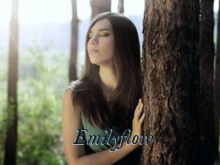 Emilyflow