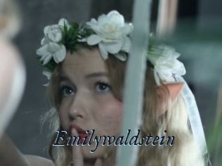 Emilywaldstein