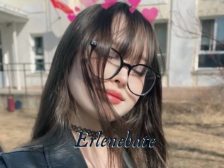 Erlenebate