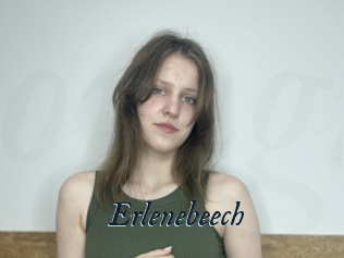 Erlenebeech
