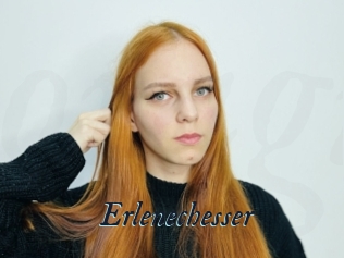 Erlenechesser