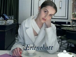Erlenehatt