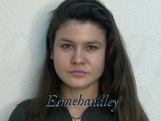 Esmehandley