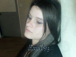 Exhib93