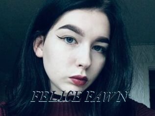 FELICE_FAWN