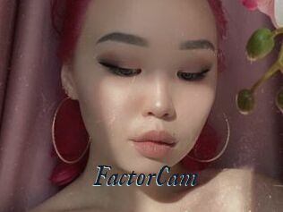FactorCam