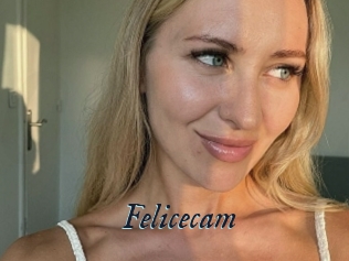 Felicecam