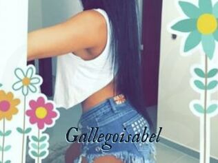 Gallegoisabel