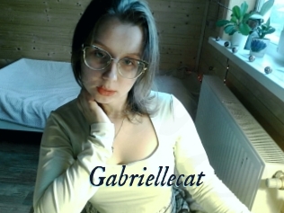 Gabriellecat