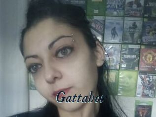 Gattahot