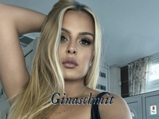 Ginaschmit