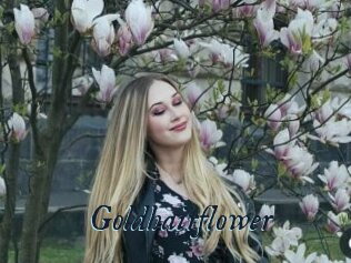 Goldhairflower