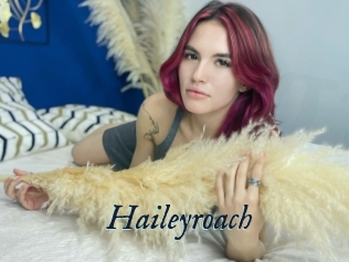 Haileyroach