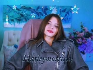 Harleymorrison