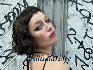 Hollisaldridge
