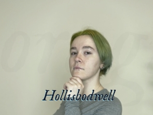 Hollisbodwell