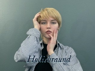Hollisbraund